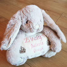 Load image into Gallery viewer, Beautiful Super Soft Rabbit Plush Toy And Blanket Set